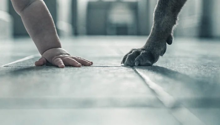 A baby's hand and a cat's paw side by side on a tiled floor